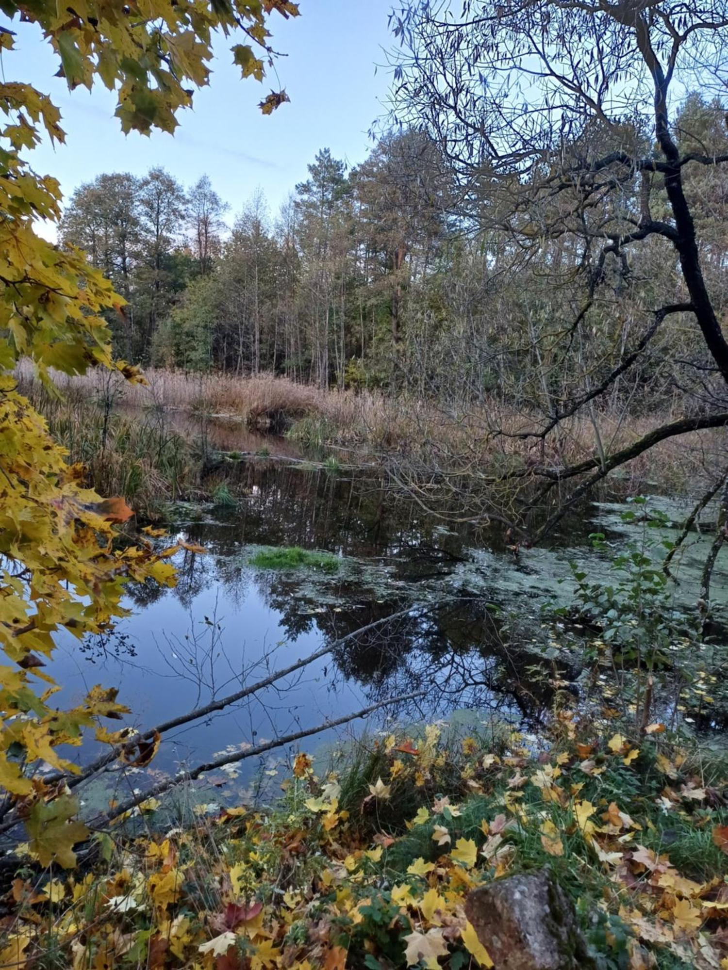 Osrodek Wypoczynkowy Koziol Kolno (Podlaskie) Exterior foto